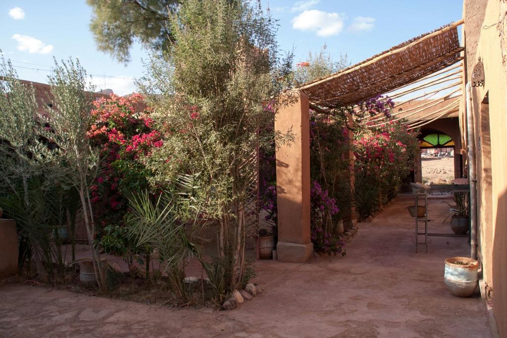 Auberge L'Oasis Foum Zguid Exteriör bild